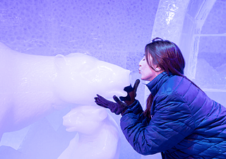 Berlin Icebar Giving a Kiss to the Polar Bear 320x225