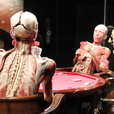 BODY WORLDS Amsterdam gallery image 2